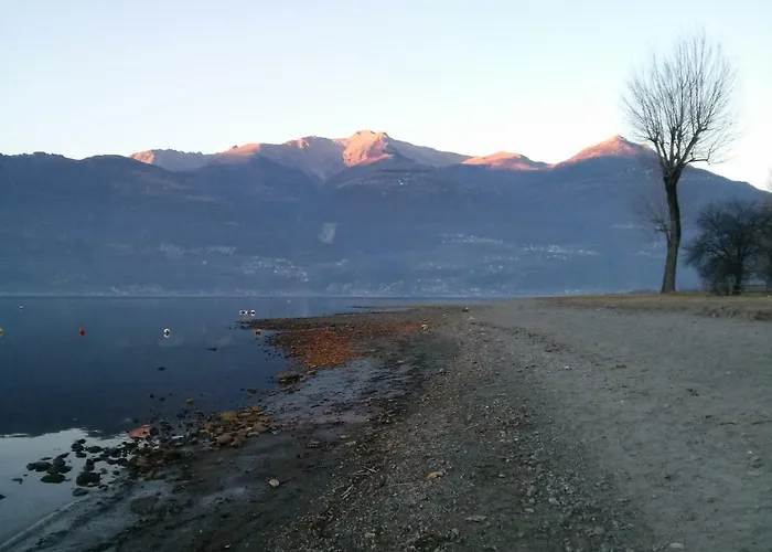 Al Molin コーリコ