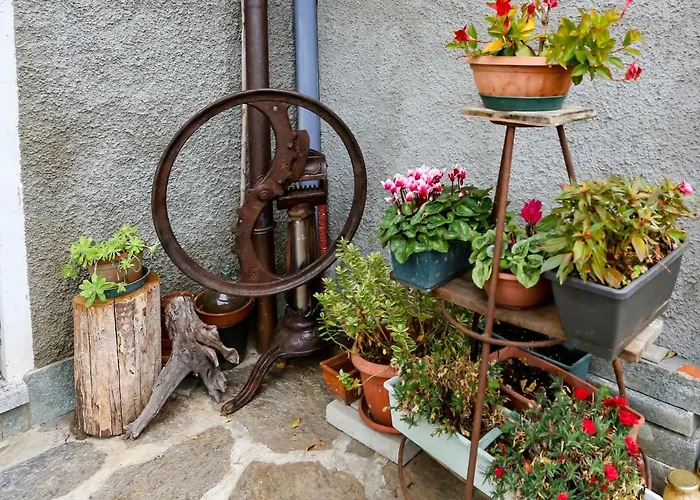 Al Molin كوليكو